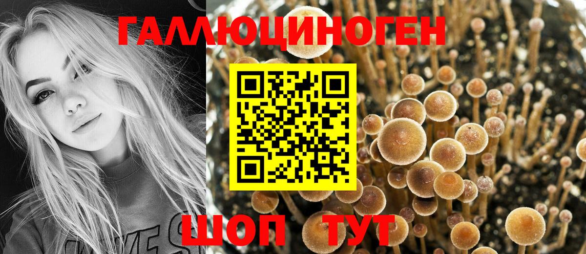 Псилоцибиновые грибы ЛСД Усолье-Сибирское