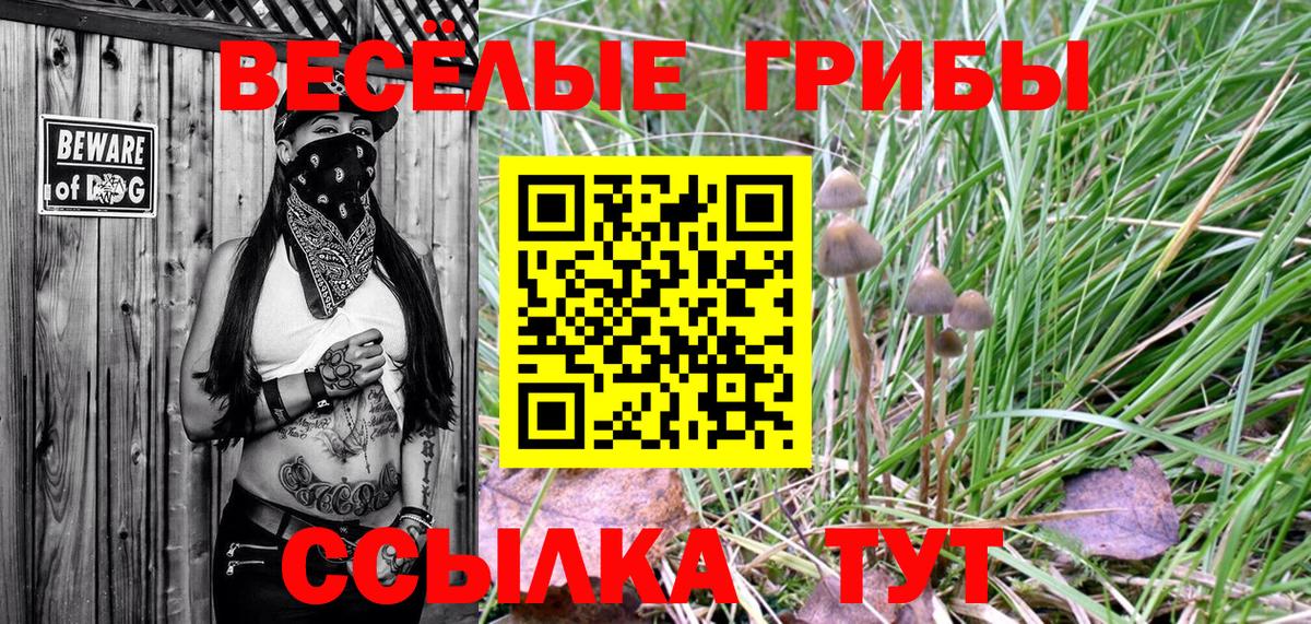 Усолье-Сибирское  Галлюциногенные грибы Psilocybine cubensis  Галлюциногенные грибы мицелий  Вход с VPN 